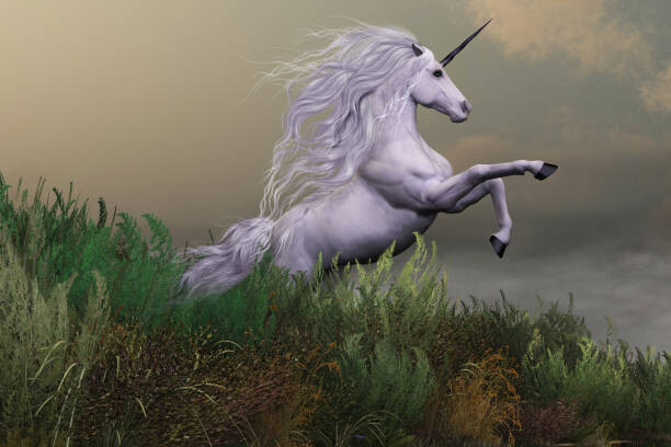 Discover the Magic of UnicornDelight88: A Unique Experience Awaits